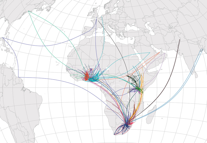 Migration | CURIOS.TY 21: #Trust https://www.wits.ac.za/curiosity/